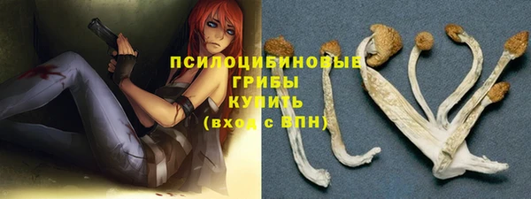 бутират Алзамай