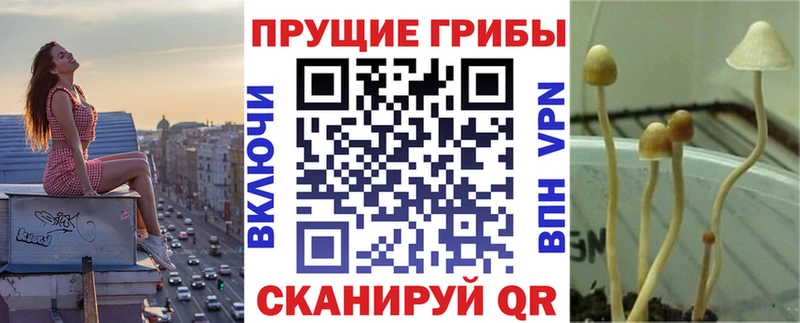 Псилоцибиновые грибы ЛСД  как найти   MEGA ССЫЛКА  Кропоткин 