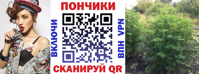 Марихуана OG Kush  Кропоткин 